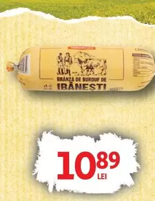BRANZA DE BURDUF DE IBANESTI