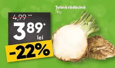 Țelină rădăcină