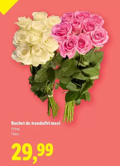 Buchet de trandafiri maxi