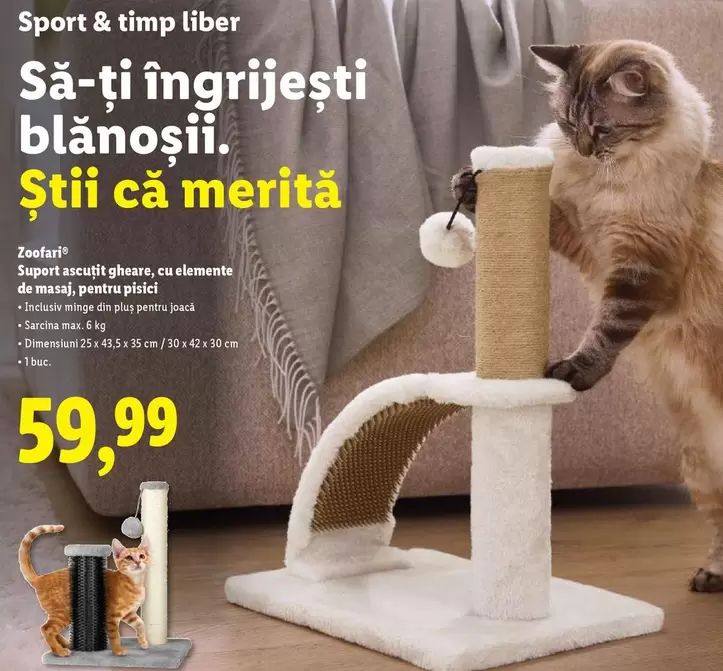 Suport ascuțit gheare, cu elemente de masaj, pentru pisici