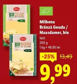 Brânză Gouda / Maasdamer, bio