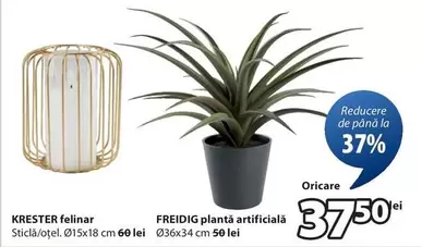 KRESTER felinar, FREIDIG plantă artificială