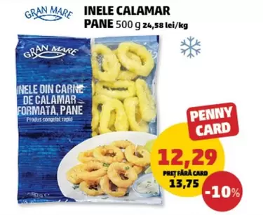 INELE CALAMAR PANE