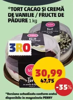 TORT CACAO ȘI CREMĂ DE VANILIE / FRUCTE DE PĂDURE