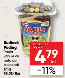 Puding Paula
