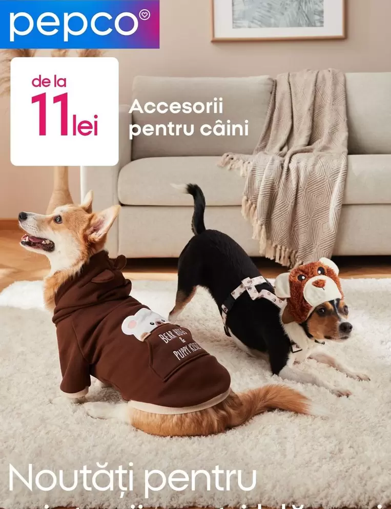 Accesorii pentru câini
