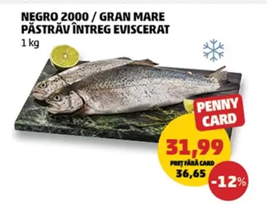 PĂSTRĂV ÎNTREG EVISCERAT