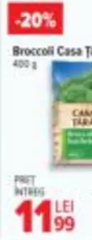 Broccoli Casa Tara