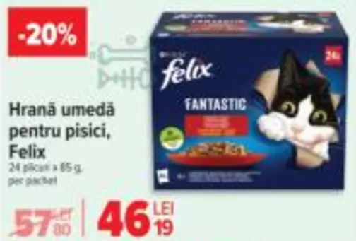 Hrană umedä pentru pisici