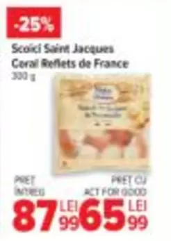 Scoici Saint Jacques