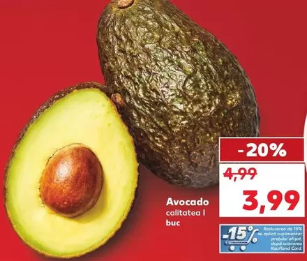 Avocado