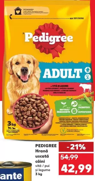 Hrana uscată câini