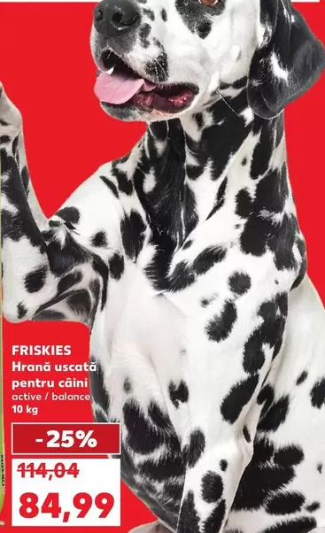 Hrana uscata pentru câini active / balance