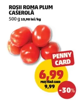 ROSII ROMA PLUM CASEROLĂ