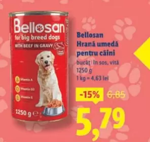 Hrană umedă pentru câini