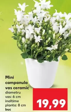 Mini campanula vas ceramic