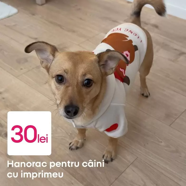 Hanorac pentru câini cu imprimeu