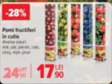 Pomi fructiferi in cutie