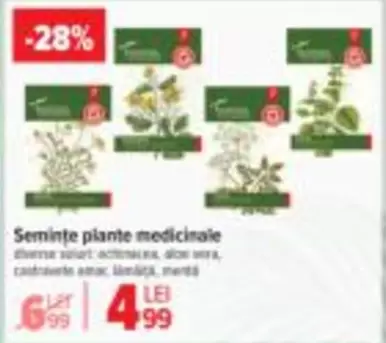 Semințe plante medicinale