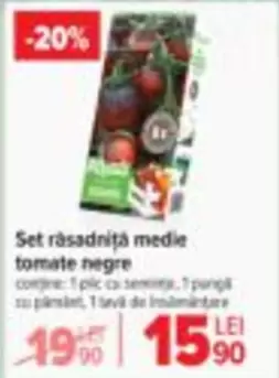 Set rasadniță medie tomate negre