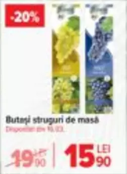 Buteși struguri de masă