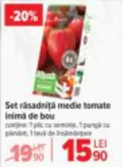 Set răsadniță medie tomate inimă de bou