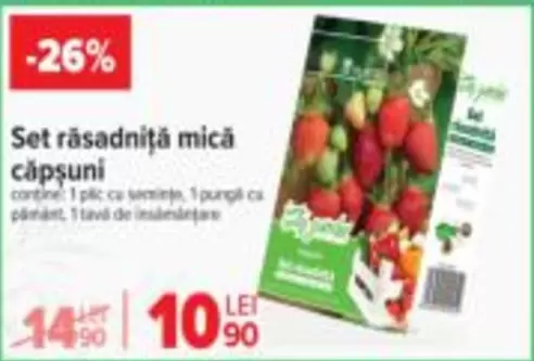Set rasadniță mică căpşuni