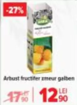Arbust fructifer zmeur galben