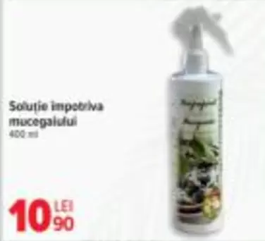 Soluție împotriva mucegaiului