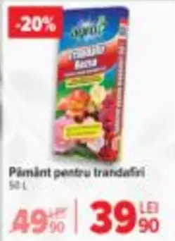 Pămînt pentru trandafiri