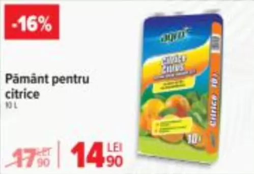 Pământ pentru citrice