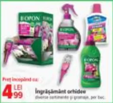 Îngrăşământ orhidee