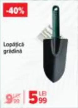 Lopățică grădină