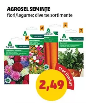 flori/legume; diverse sortimente