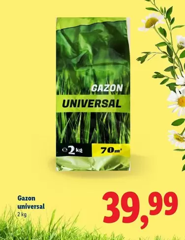 Gazon universal