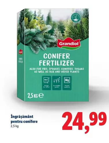 CONIFER FERTILIZER