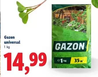 Gazon universal