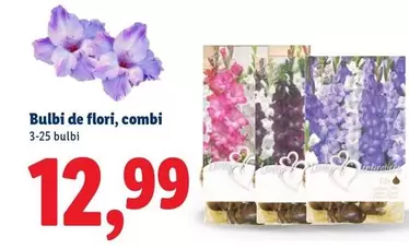Bulbi de flori, combi