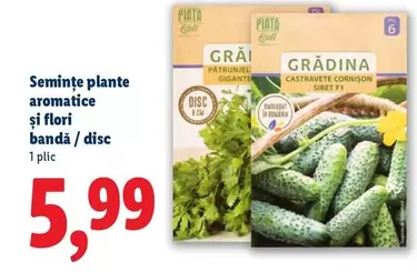 Seminţe plante aromatice și flori bandă / disc