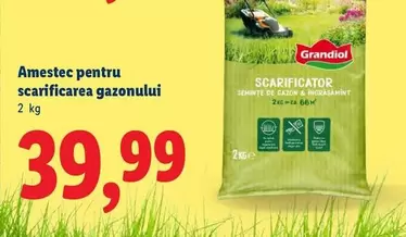 Amestec pentru scarificarea gazonului