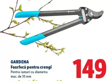 Foarfecă pentru crengi