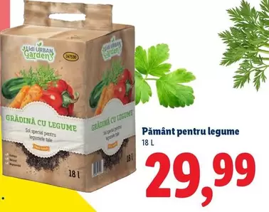 Pământ pentru legume