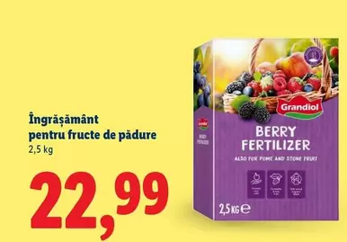 Îngrășământ pentru fructe de pădure