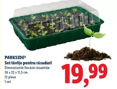 Set tăvițe pentru răsaduri