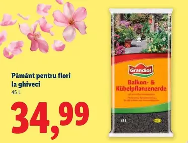 Pământ pentru flori la ghiveci