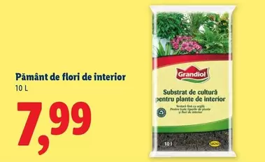 Pământ de flori de interior