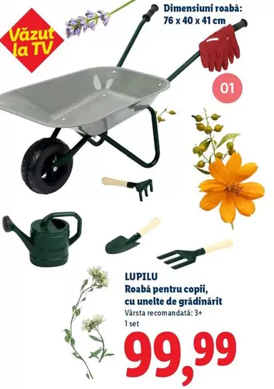 Roabă pentru copii, cu unelte de grădinárit