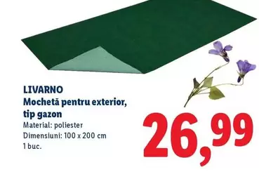 Mochetă pentru exterior, tip gazon