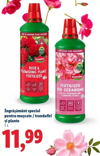 Îngrăşământ special pentru muşcate/trandafiri și plante