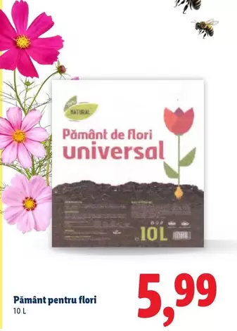 Pământ pentru flori